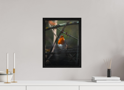 30 x 40 cm, Floater Frame Song of Dawn