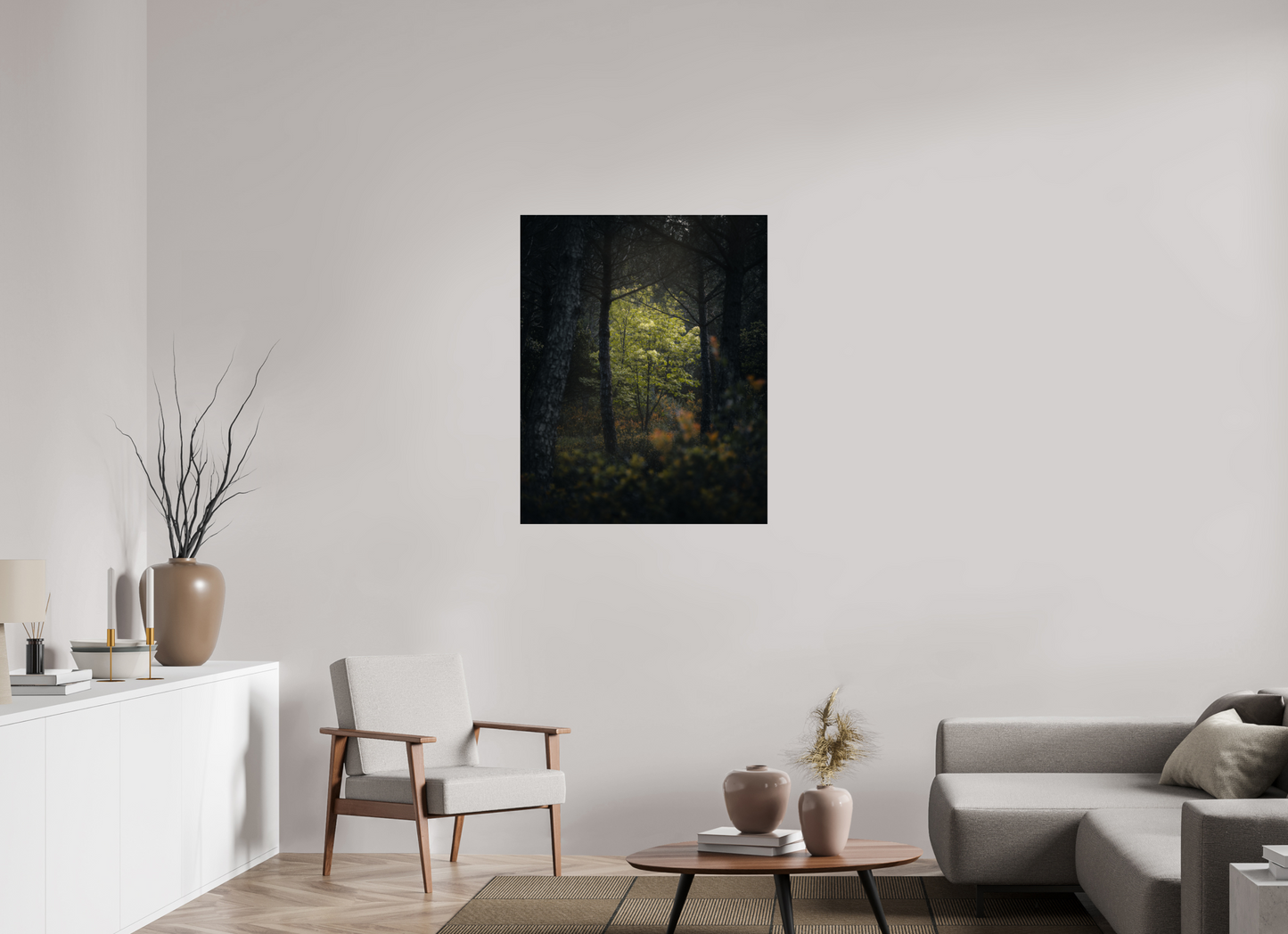 Clarté au cœur des bois