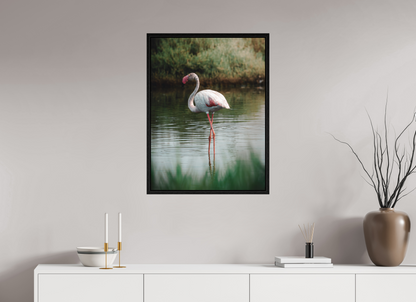 Flamant rose au repos