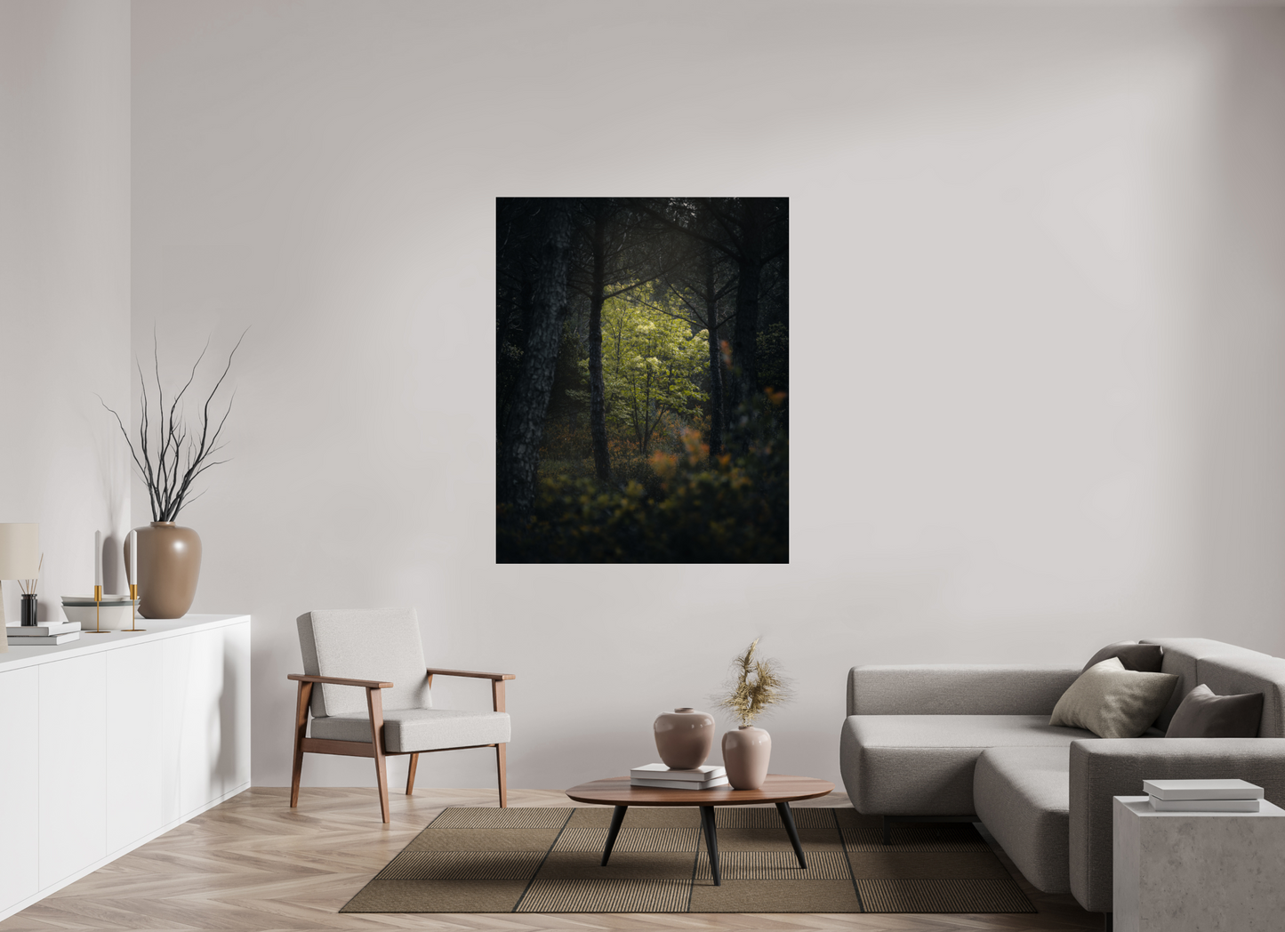 Clarté au cœur des bois