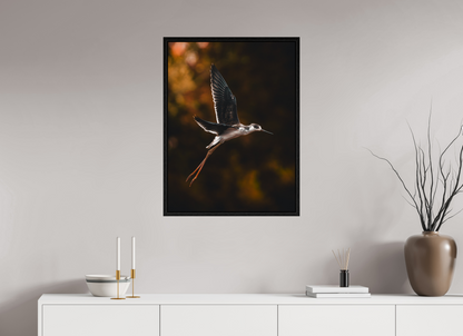 60 x 80 cm, Floater Frame Grace in Motion