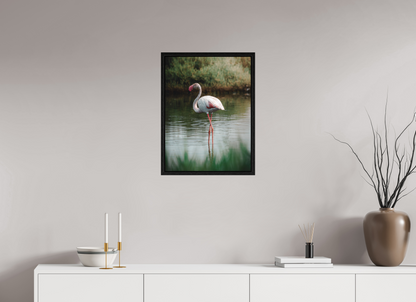 Flamant rose au repos