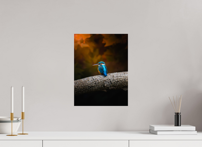 30 x 40 cm, Photo Print Under Acrylic Glass Silent Watcher