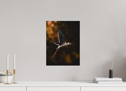 30 x 40 cm, Photo Print Under Acrylic Glass Grace in Motion