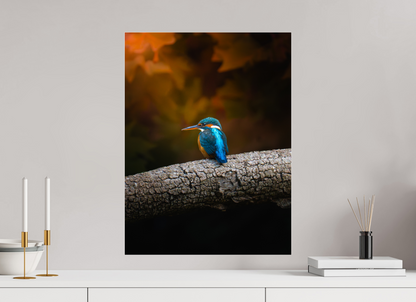 45 x 60 cm, Photo Print Under Acrylic Glass Silent Watcher