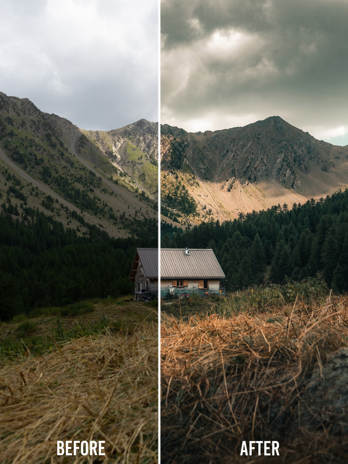 🌿 Seasonal Stories Collection — Lightroom Presets