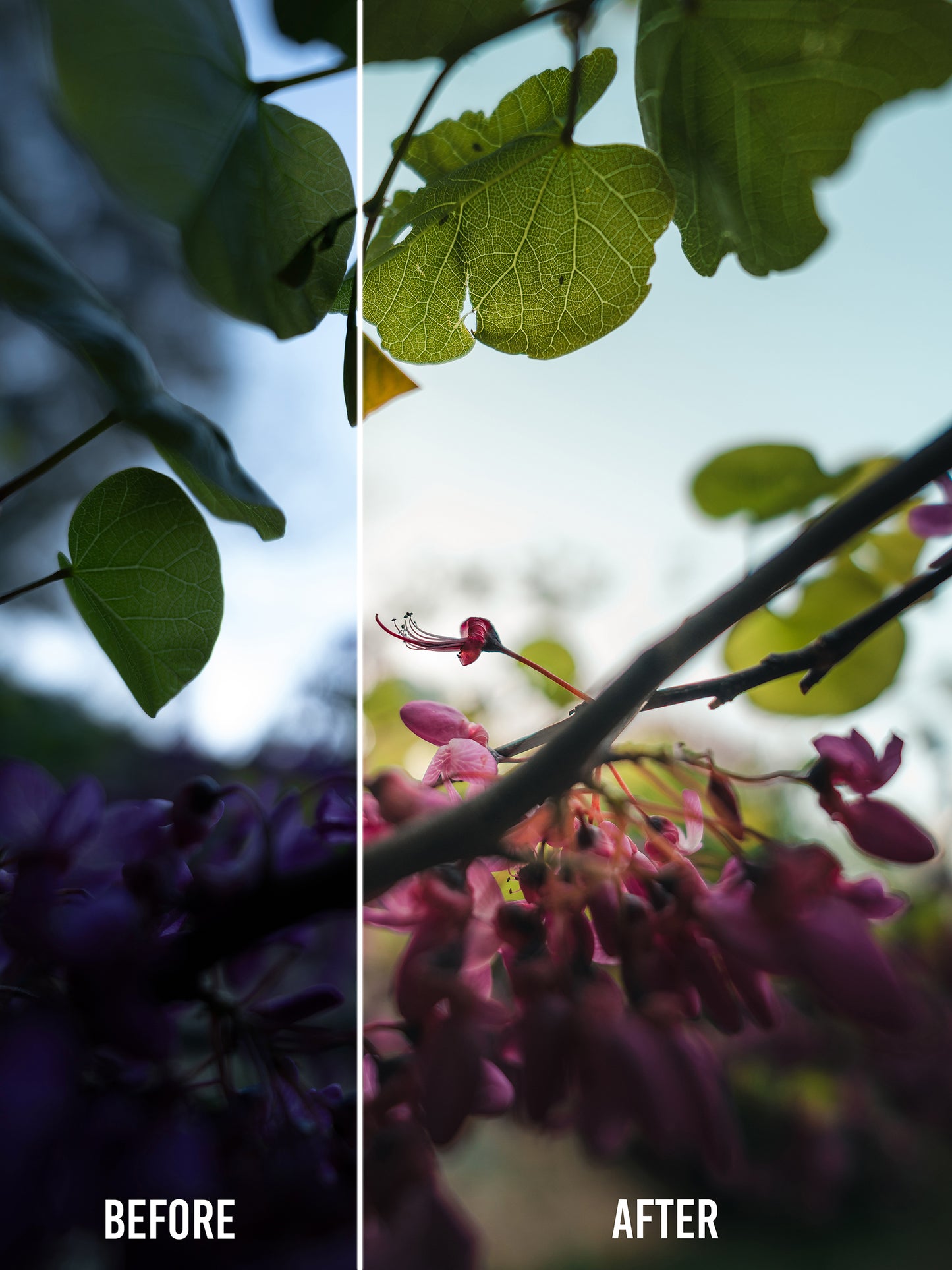 ⭐ Master Bundle — The Complete Storytelling Preset Collection