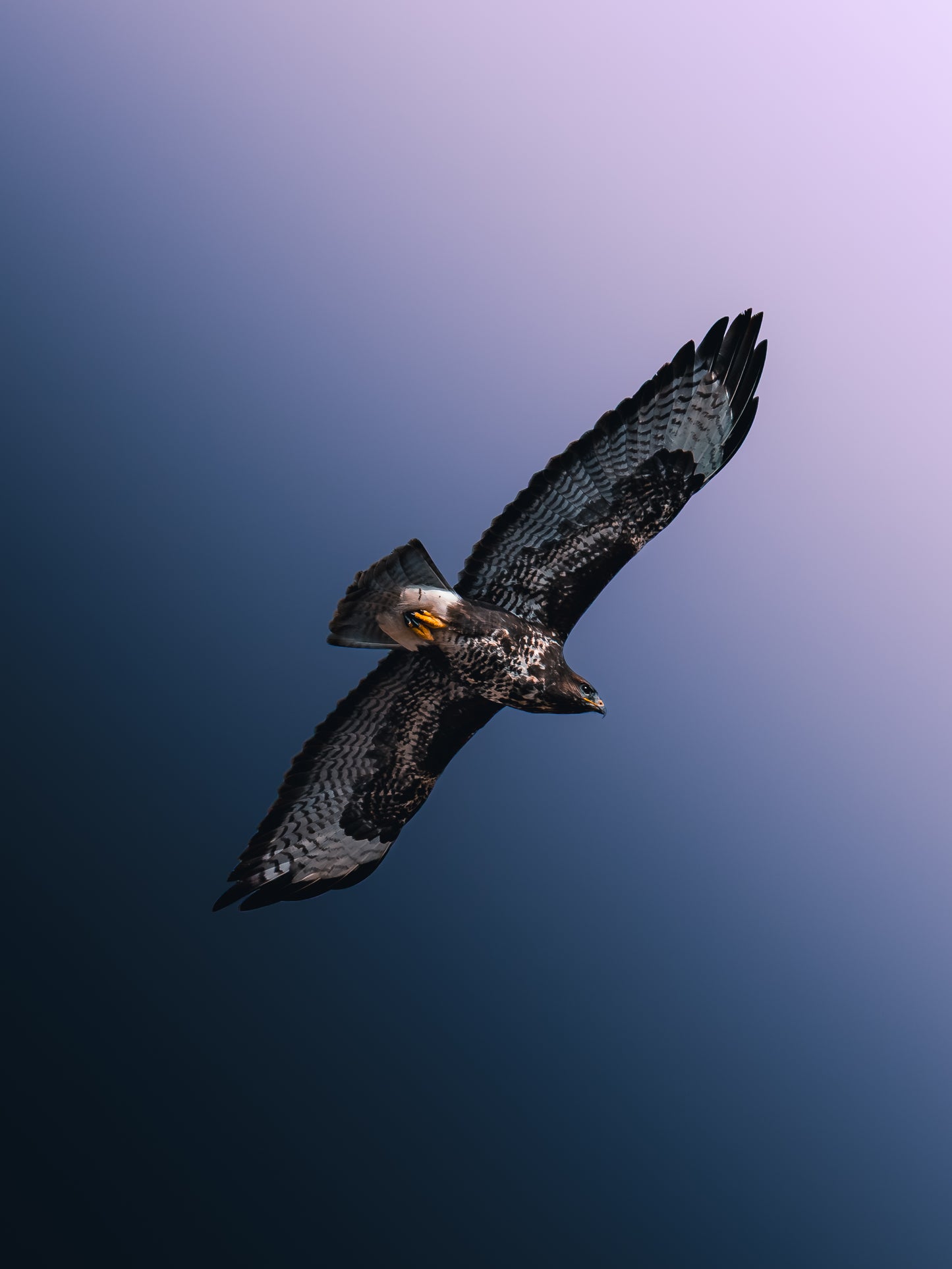 ⭐ Master Bundle — The Complete Storytelling Preset Collection