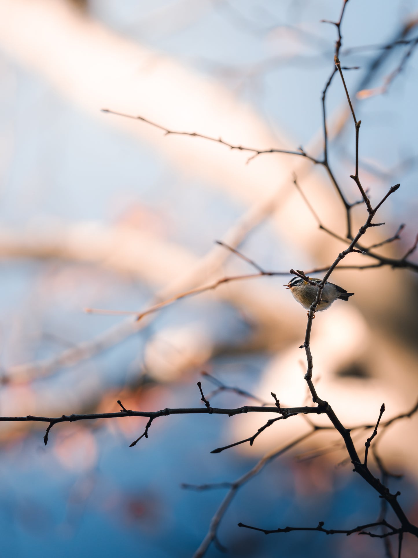🌿 Seasonal Stories Collection — Lightroom Presets