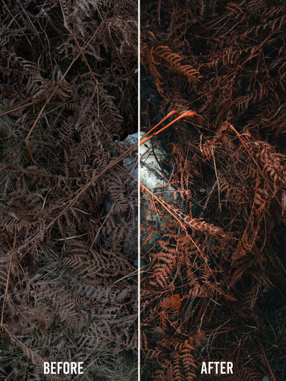 🌿 Seasonal Stories Collection — Lightroom Presets