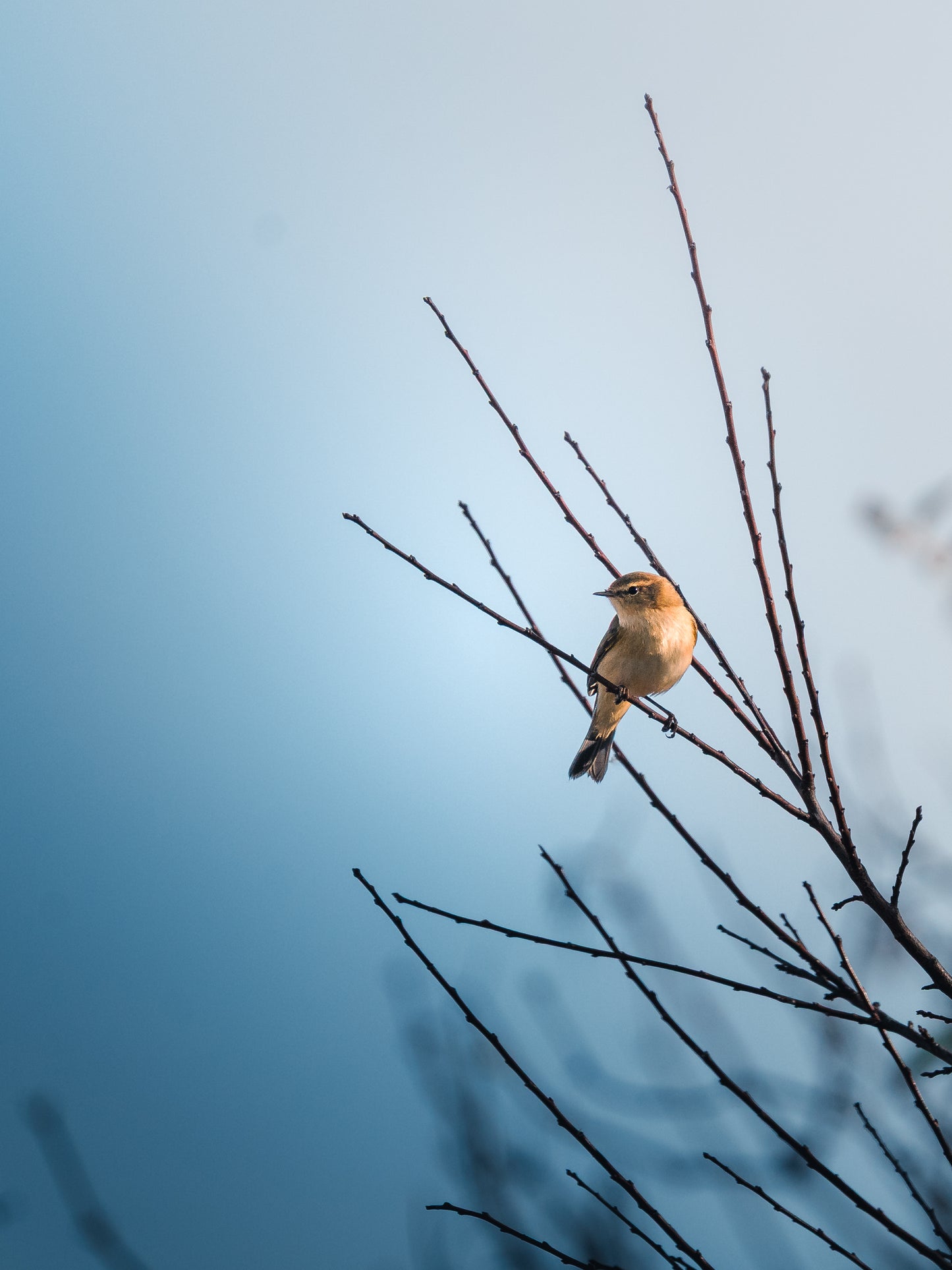 🌿 Seasonal Stories Collection — Lightroom Presets
