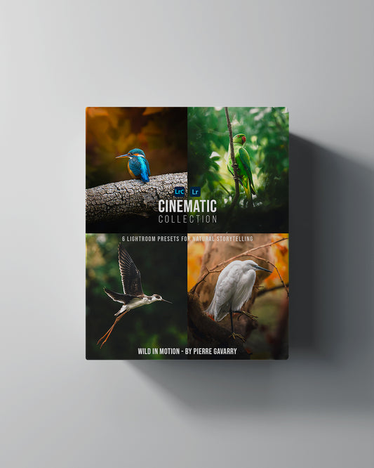 🎞️ Cinematic Collection – Wild in Motion Lightroom Presets