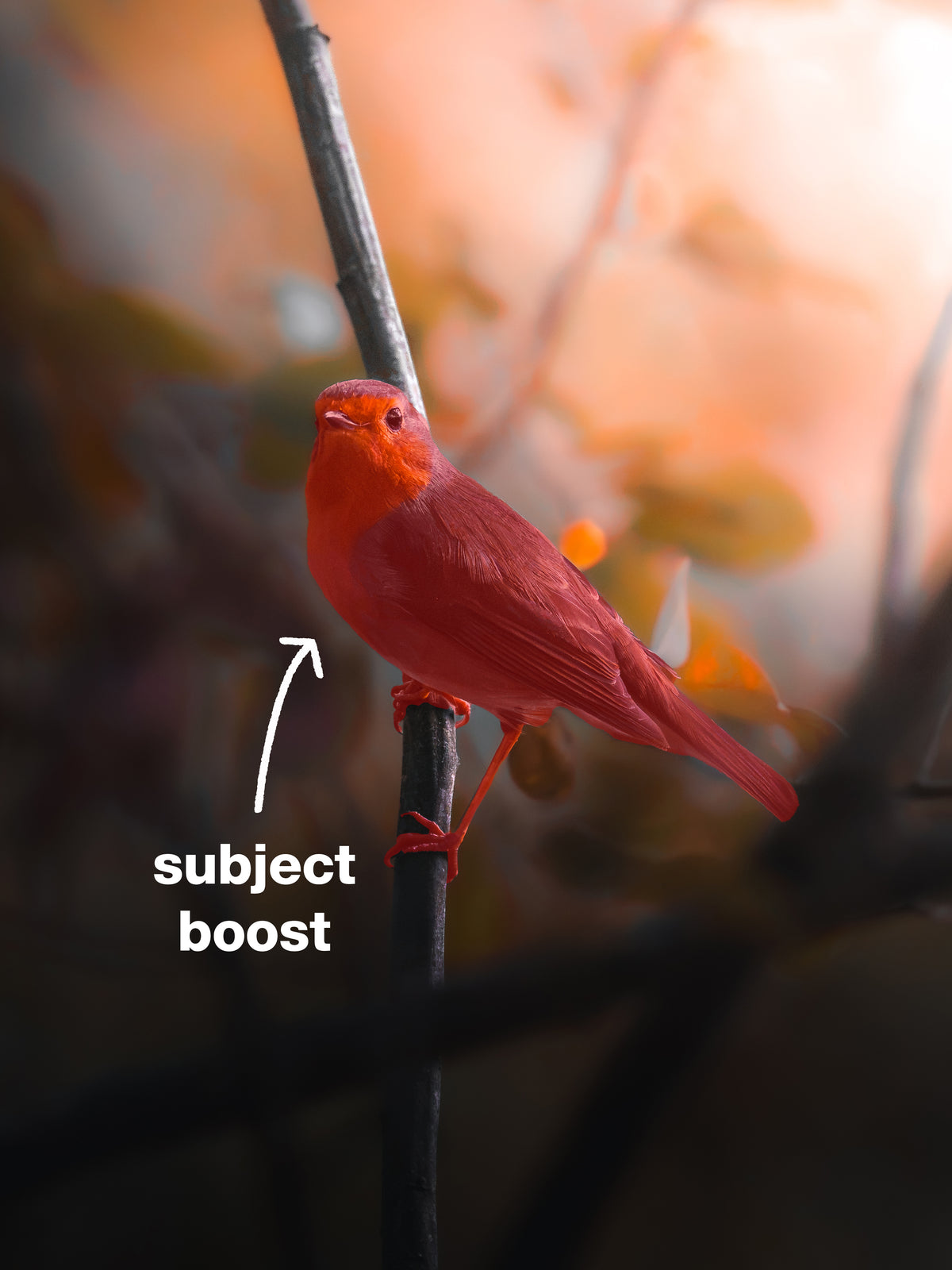 🌅 FIRST LIGHT — Free Lightroom Masking Toolkit