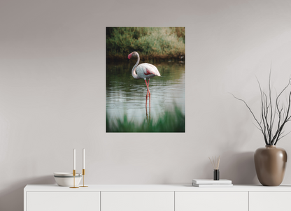 Flamant rose au repos