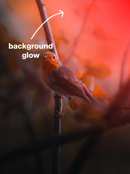 🌅 FIRST LIGHT — Free Lightroom Masking Toolkit