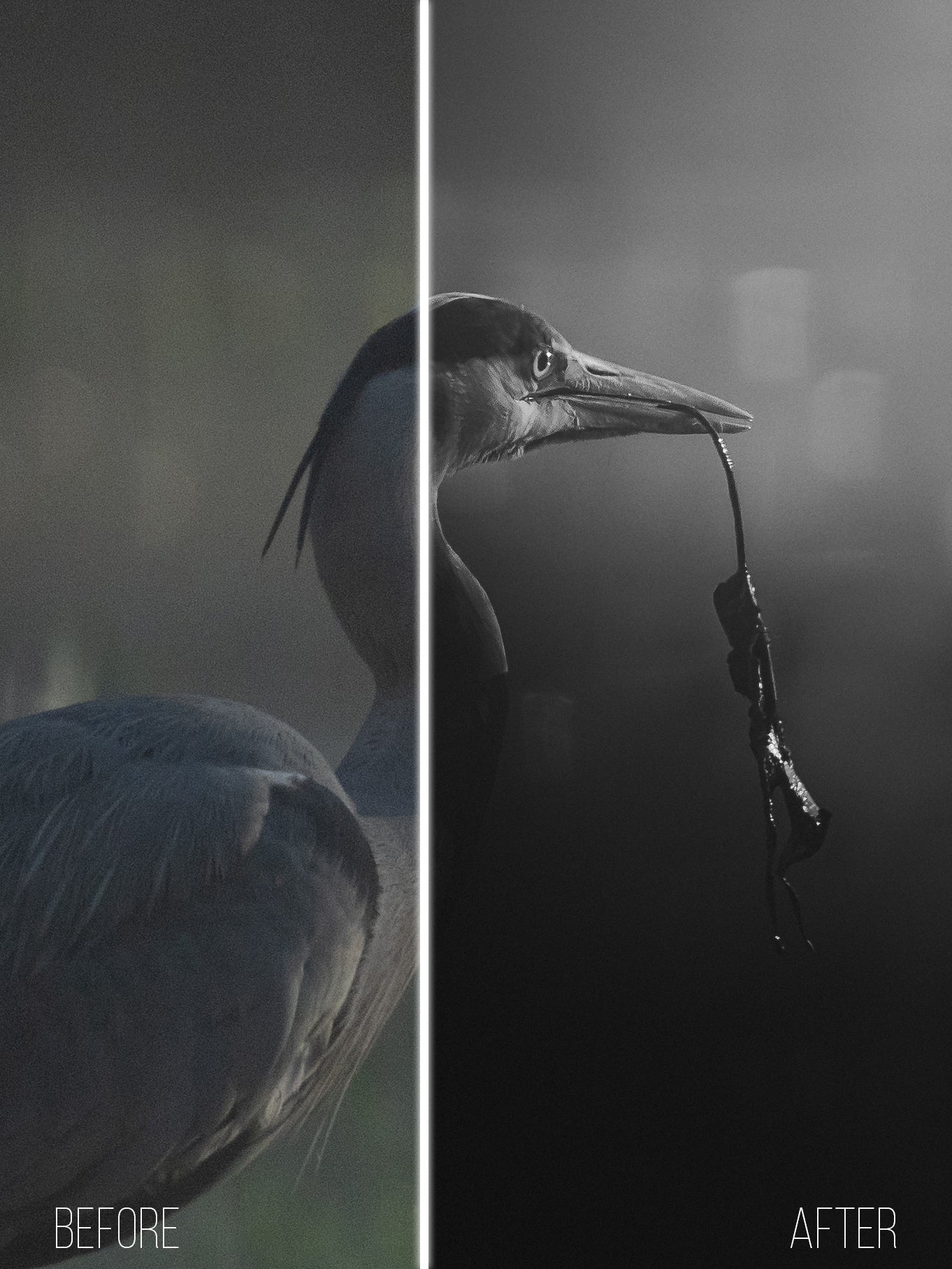 ⚫⚪Mono Collection — Black & White Lightroom Presets