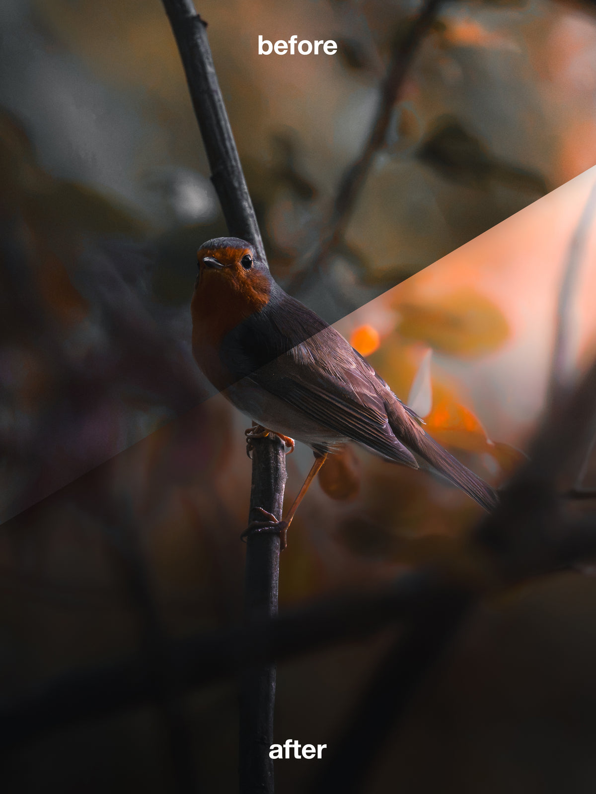 🌅 FIRST LIGHT — Free Lightroom Masking Toolkit