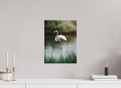 Flamant rose au repos
