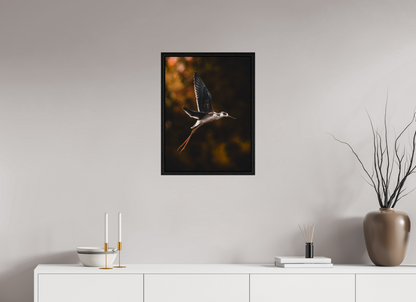 45 x 60 cm, Floater Frame Grace in Motion