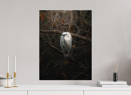 45 x 60 cm, Photo Print Under Acrylic Glass Silent Grace