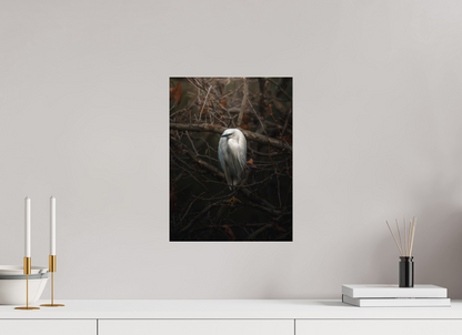 30 x 40 cm, Photo Print Under Acrylic Glass Silent Grace