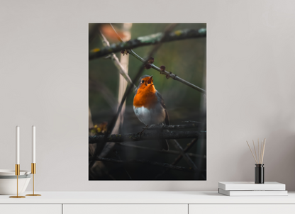 45 x 60 cm, Photo Print Under Acrylic Glass Song of Dawn