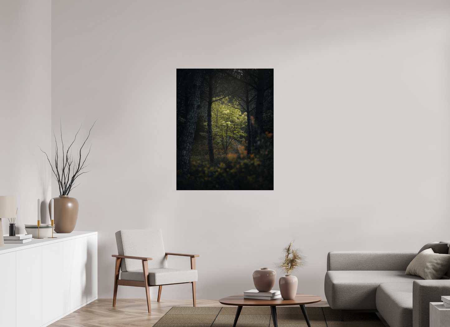 Clarté au cœur des bois