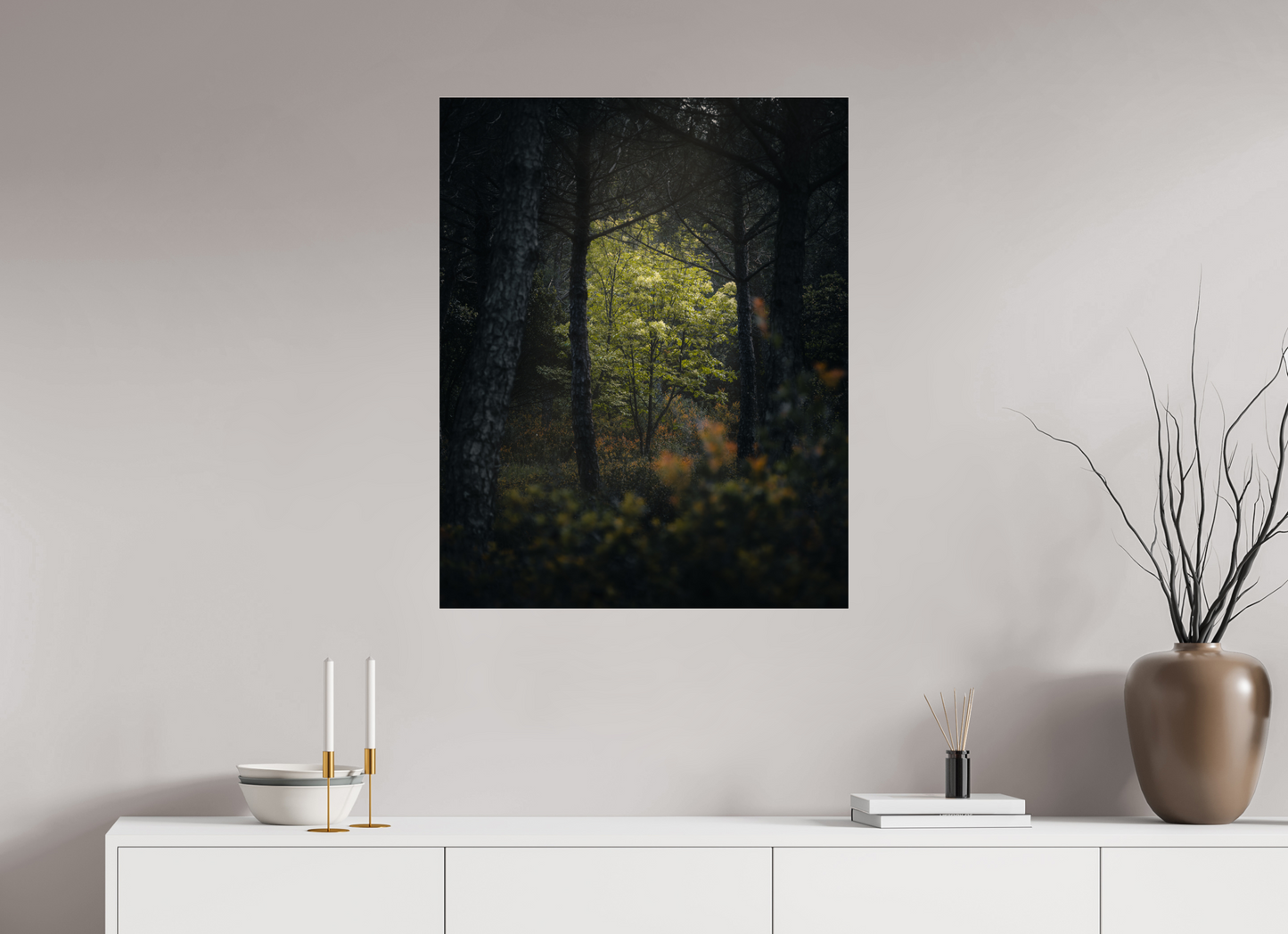 Clarté au cœur des bois