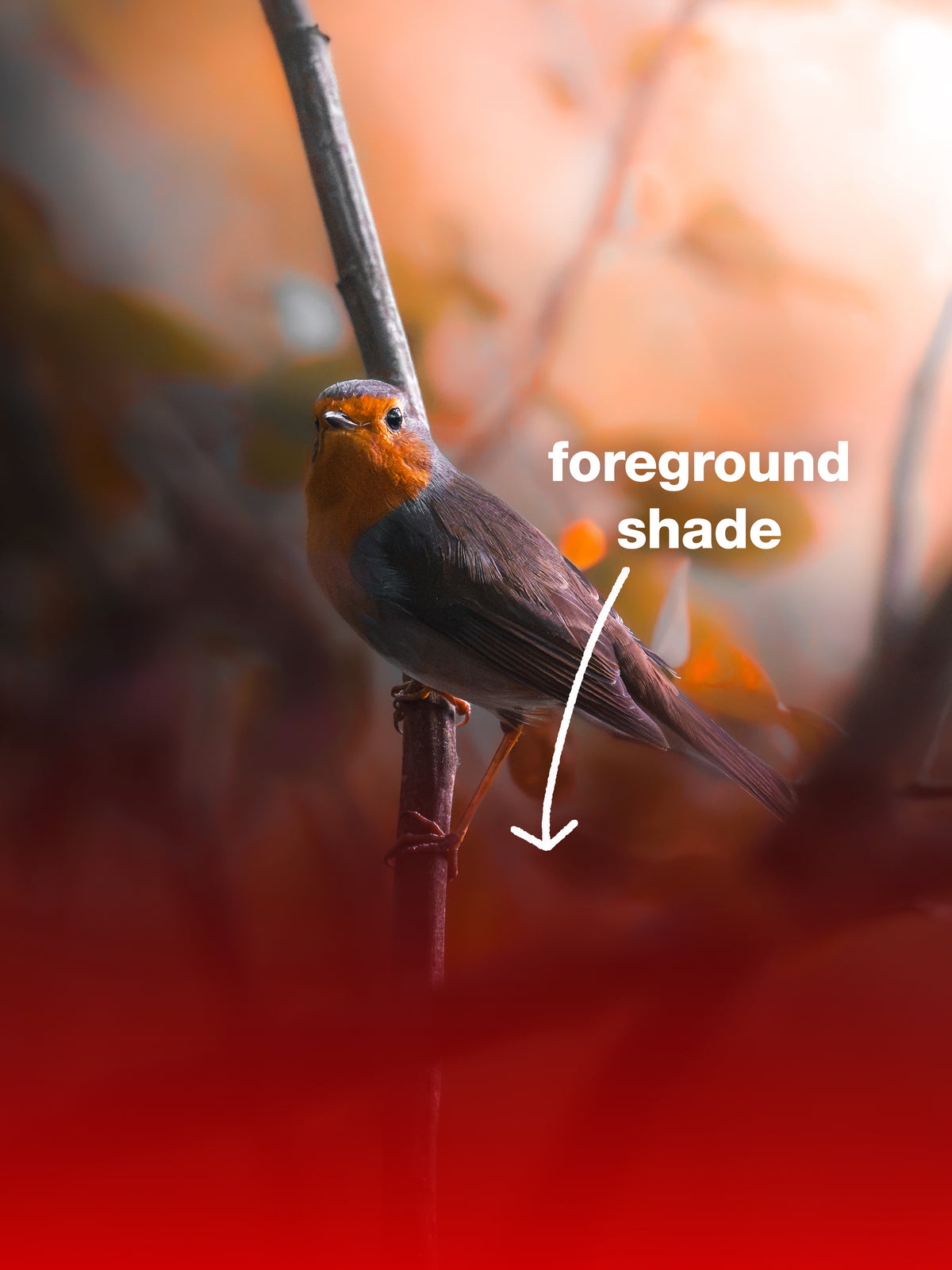 🌅 FIRST LIGHT — Free Lightroom Masking Toolkit